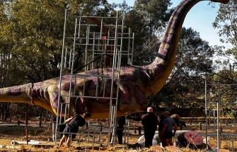 What are the precautions for large animatronic dinosaurs installation.