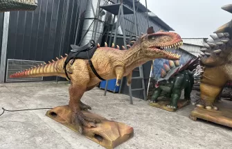 Amusement Park Animatronic Dinosaur Ride Equipment